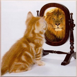 Cute Cat Looking In Mirror, Sees Lion