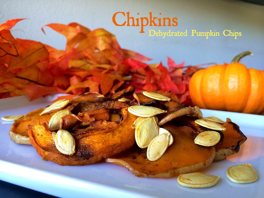 Pumpkin Chips, called Chipkins