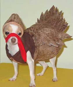 Turkey Dog