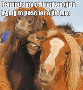 Drunk Girls look like horses