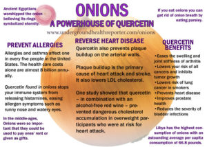 health-benefits-of-onions-uhr