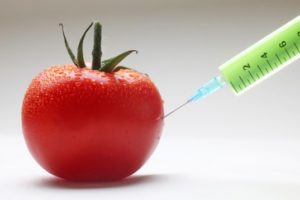 GMO-Tomato