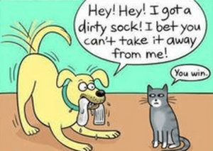 Dirty-Sock-Cartoon
