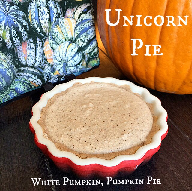 white-pumpkin-pumpkin-pie-unicorn-pie