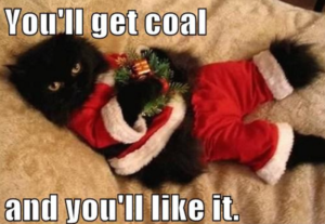 Santa-Cat-Coal