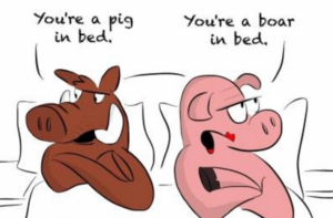 pig-in-blanket
