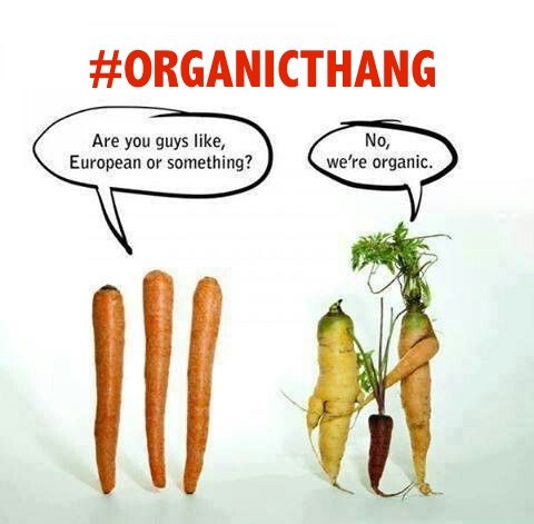 organic funny