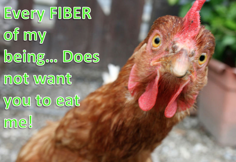 chicken fiber