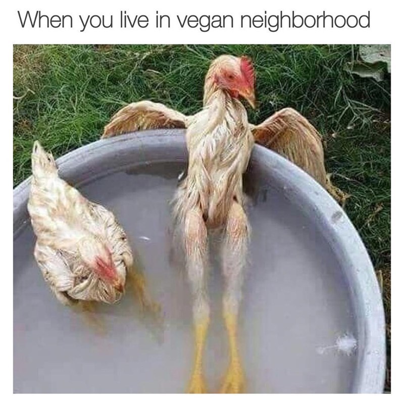 chicken in vegan neighborhood