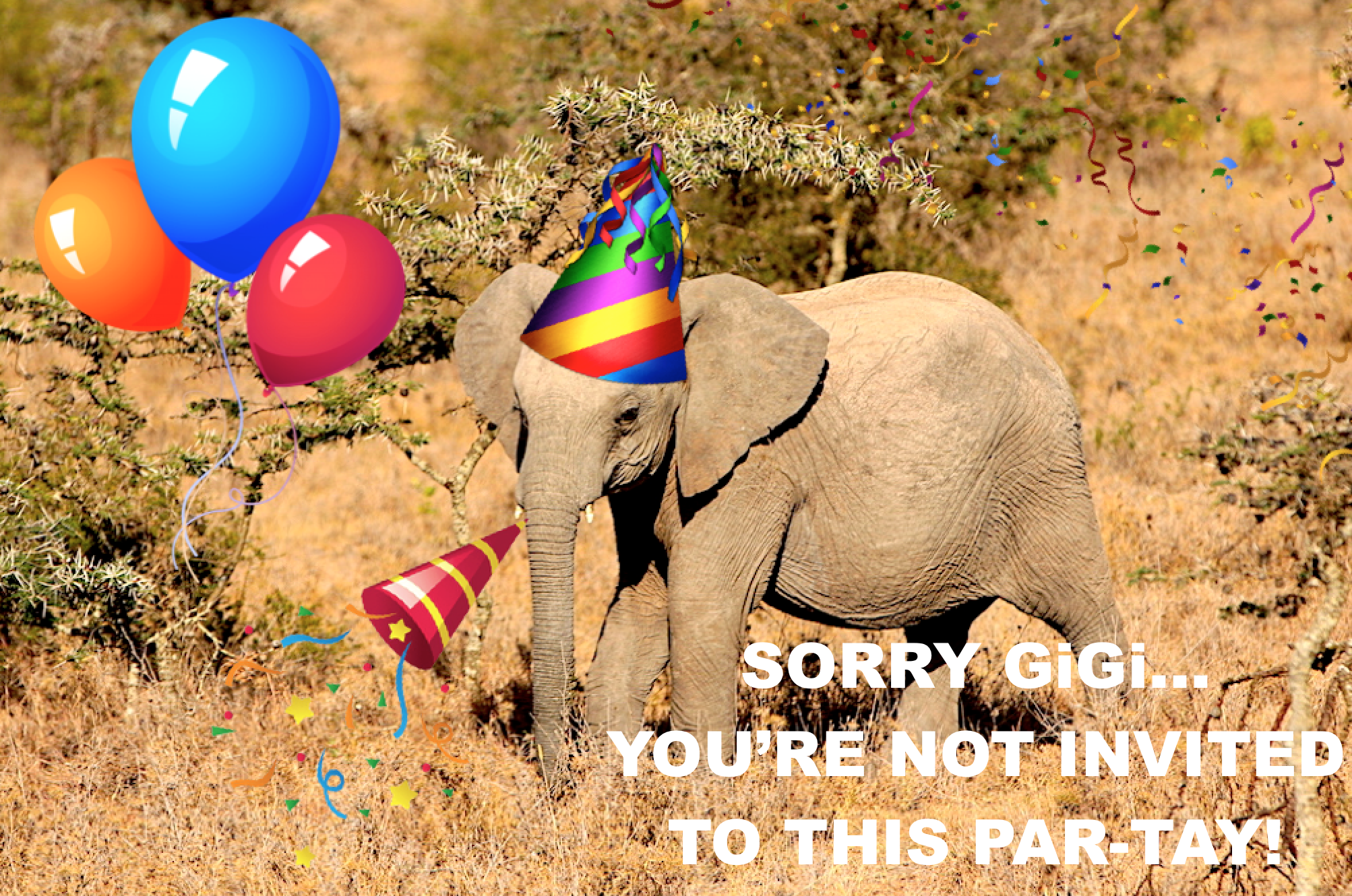 party elephant