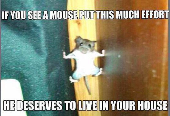 mouse effort