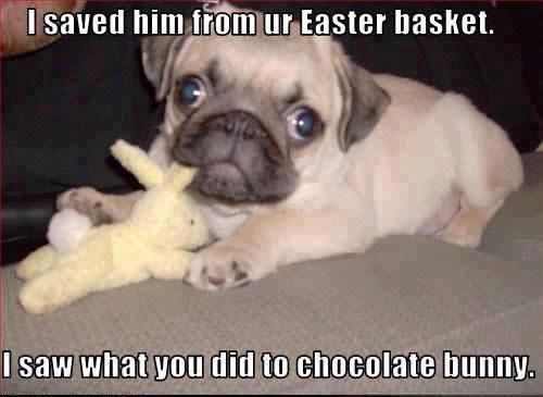 chocolate bunny easter basket