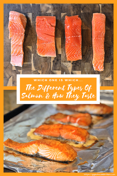 We discuss the different varieties of salmon and then taste test each type to see which one we like best. We are sampling is King, Sockeye, Coho and Atlantic.