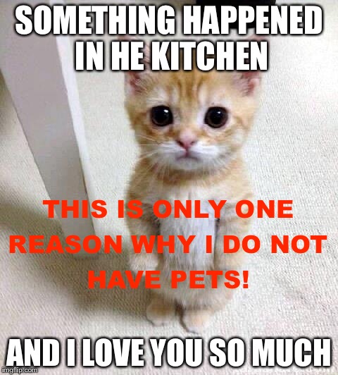 cat fucked up kitchen meme
