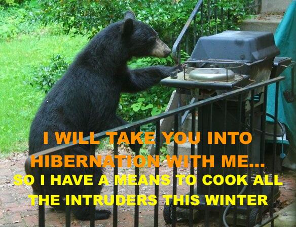 bear grill hibernation