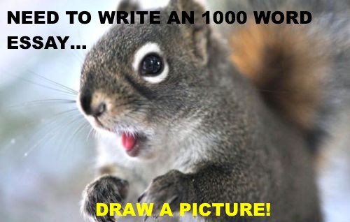 PICTURE 1000 WORDS SQUIRREL