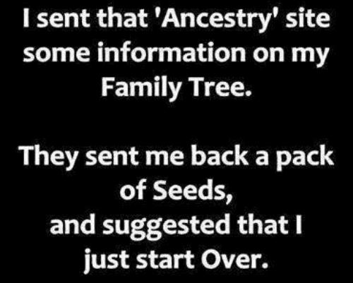 i-sent-that-ancestry-site-some-information-on-my-family-12614154