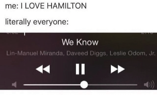 me-i-love-hamilton-literally-everyone-we-know-7636079