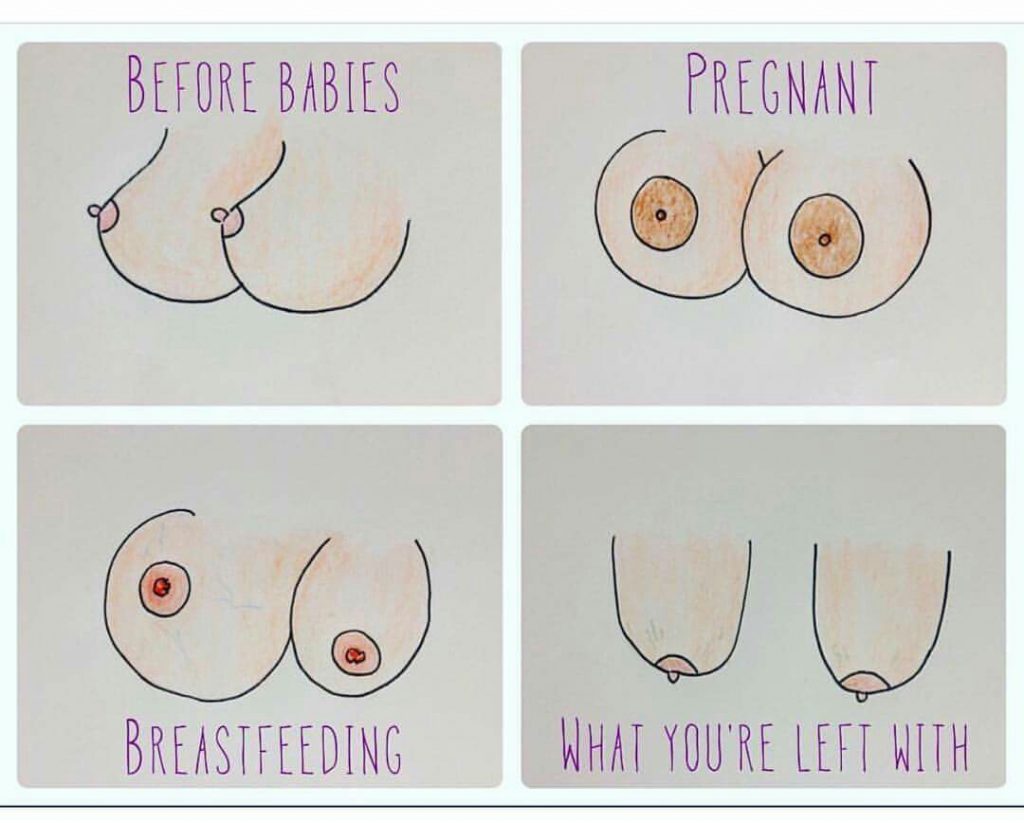 boob stages of life