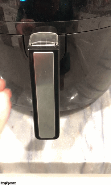 opening the gowise airfryer salmon
